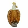 Best deal π Traditions Bald Eagle Ornament π 1 Best deal π Traditions Bald Eagle Ornament π -Ornament shop 16011 3