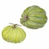 Hot Sale π₯ Traditions Green Heirloom Pumpkins With Stem Set/2 β¨ 1 Hot Sale π₯ Traditions Green Heirloom Pumpkins With Stem Set/2 β¨ -Ornament shop 3902578
