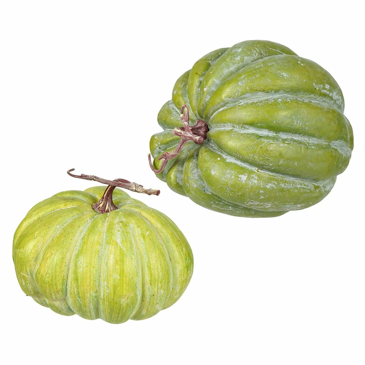 Hot Sale π₯ Traditions Green Heirloom Pumpkins With Stem Set/2 β¨ 3 Hot Sale π₯ Traditions Green Heirloom Pumpkins With Stem Set/2 β¨