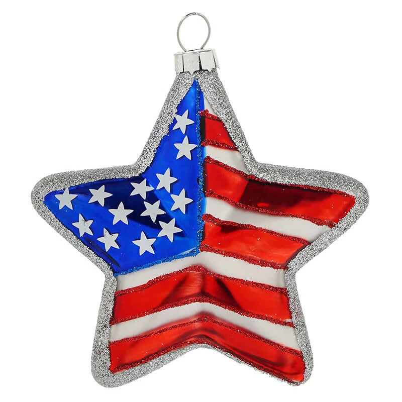 Budget 😉 Traditions Silver USA Star Ornament ⭐ 3 Budget 😉 Traditions Silver USA Star Ornament ⭐
