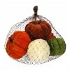 Promo 🔔 Traditions Velveteen Pumpkins In A Bag Set/7 😍 1 Promo 🔔 Traditions Velveteen Pumpkins In A Bag Set/7 😍 -Ornament shop LO7202