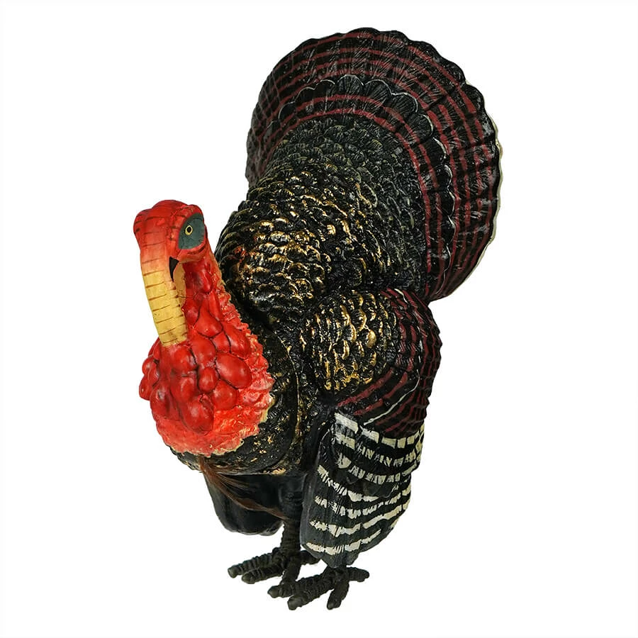 Flash Sale ๐งจ Traditions Small Tom Turkey ๐ 3 Flash Sale ๐งจ Traditions Small Tom Turkey ๐