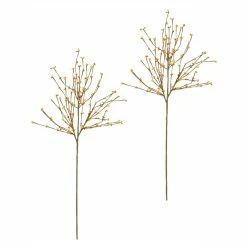 Best reviews of 🤩 Traditions Bittersweet Stems Set/2 💯