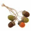Discount 👍 Traditions Felt Acorn Bundle Ornaments Set/5 🛒 -Ornament shop PK33935