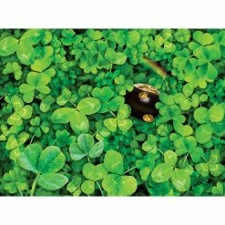 Cheapest ⌛ Traditions Shamrock Challenge Puzzle ⭐