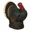 Best reviews of 👏 Traditions Robust Turkey 🌟 -Ornament shop RH4099