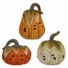 Best reviews of 😉 Traditions Resin Corn Cob Pumpkins Set/3 ⭐ -Ornament shop SS2484720