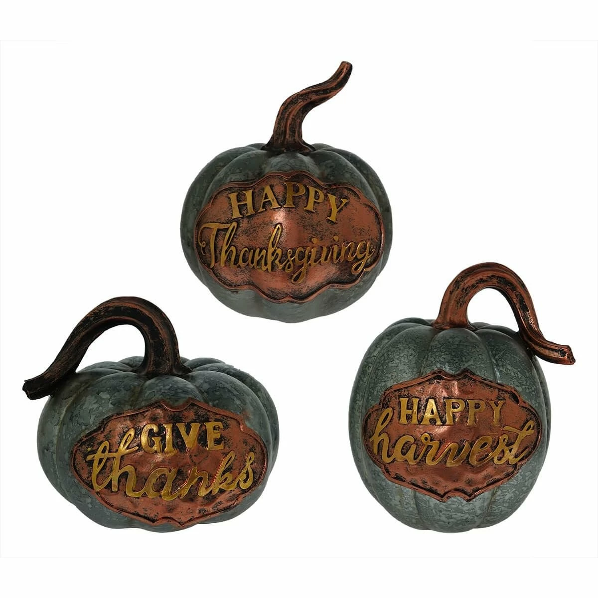 Coupon π₯° Traditions Galvanized Harvest Pumpkins Set/3 π 3 Coupon π₯° Traditions Galvanized Harvest Pumpkins Set/3 π
