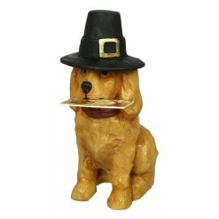 New 👏 Traditions 👪 Thanksgiving Pilgrim 🐕 Dog 😍