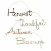 Best reviews of 🎉 Traditions Fall Wire Word Sign Ornaments Set/4 🎁 2 Best reviews of 🎉 Traditions Fall Wire Word Sign Ornaments Set/4 🎁 -Ornament shop TF7720