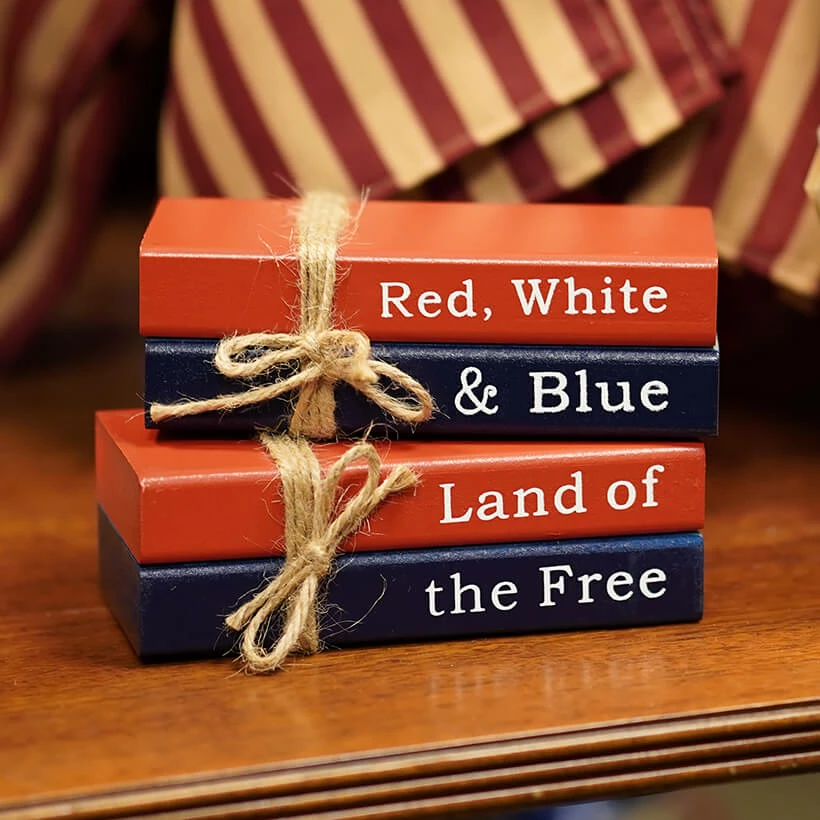 Budget π₯ Traditions Americana "Red, White & Blue" Book Stack π 5 Budget π₯ Traditions Americana "Red, White & Blue" Book Stack π - Image 3