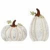 New 👏 Traditions White Rustic Pumpkins Set/2 🛒 -Ornament shop TPH8827